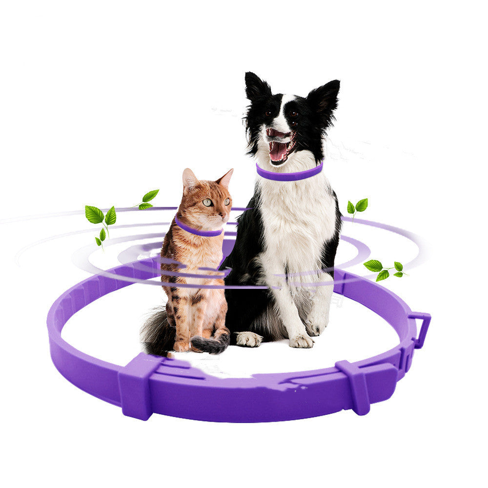 Dog Comfort Collar Cat Teddy Pet Plastic