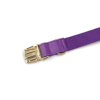 Deep Purple Velvet Gold Buckle Lettering Pet Collar Dog Go Out Collar