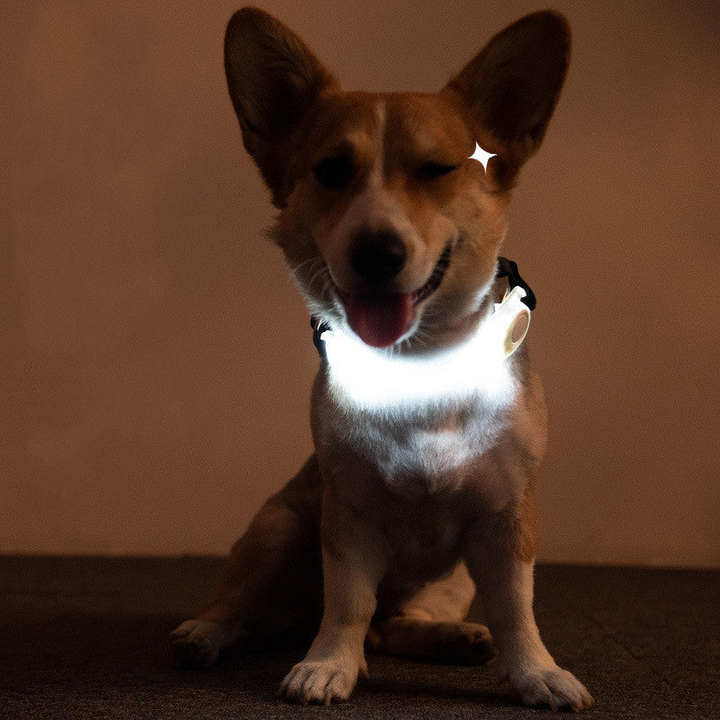 Pet Supplies LED Lead Rope Light Collar