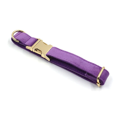 Deep Purple Velvet Gold Buckle Lettering Pet Collar Dog Go Out Collar