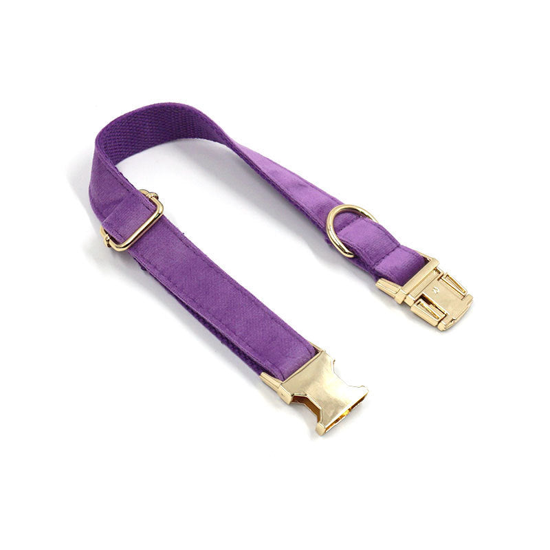 Deep Purple Velvet Gold Buckle Lettering Pet Collar Dog Go Out Collar