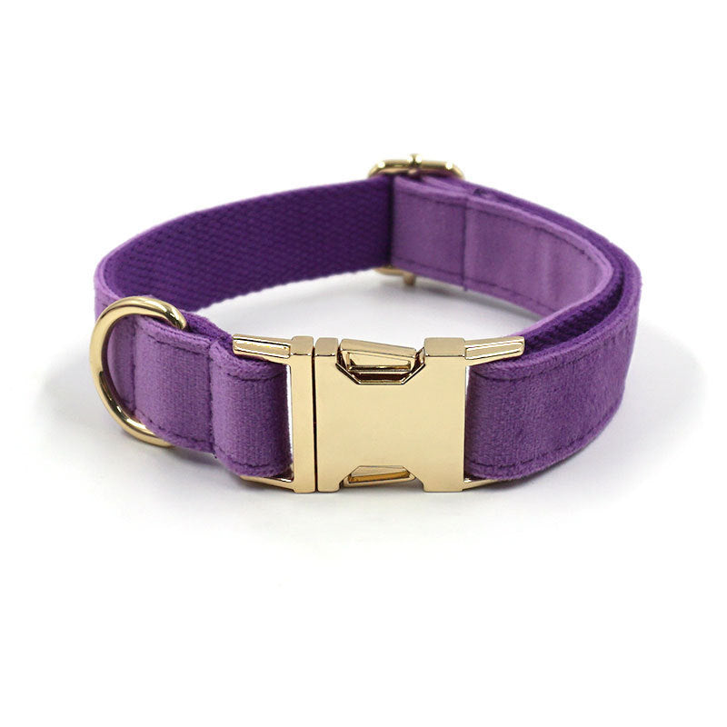 Deep Purple Velvet Gold Buckle Lettering Pet Collar Dog Go Out Collar