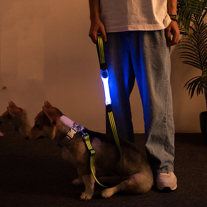 Pet Supplies LED Lead Rope Light Collar