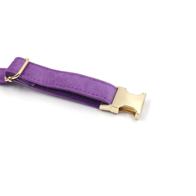 Deep Purple Velvet Gold Buckle Lettering Pet Collar Dog Go Out Collar